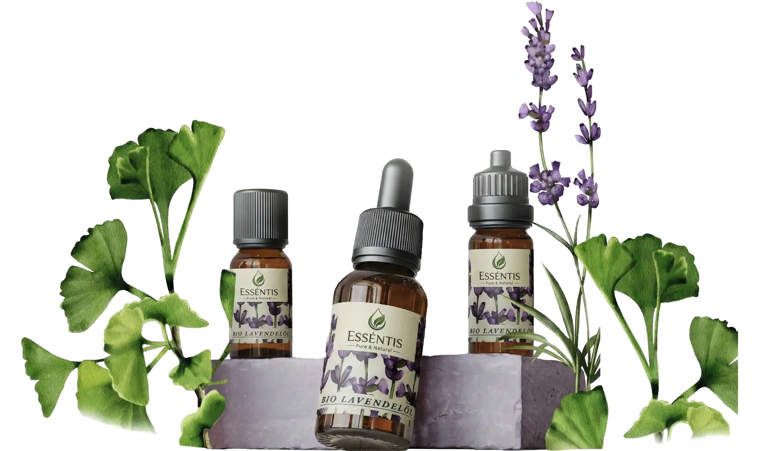 Ätherische Öle in Tropfflaschen mit Lavendel und Ginkgo